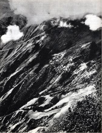 Австралия и острова Тихого океана - _155.jpg