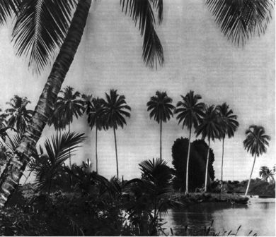 Австралия и острова Тихого океана - _157.jpg