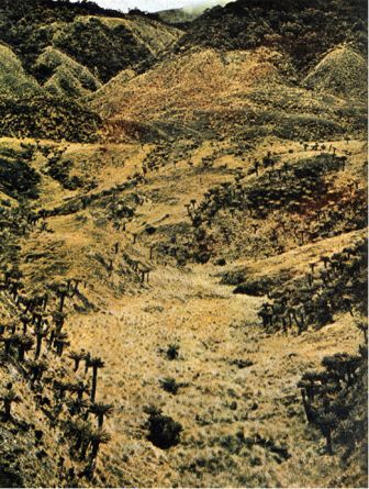 Австралия и острова Тихого океана - _159.jpg