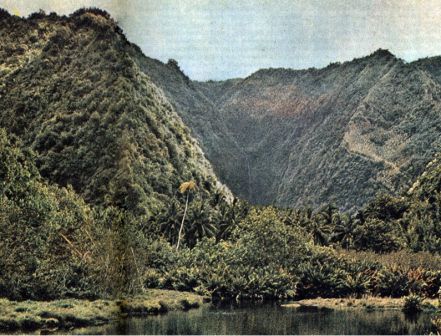 Австралия и острова Тихого океана - _167.jpg