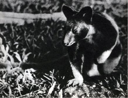 Австралия и острова Тихого океана - _169.jpg