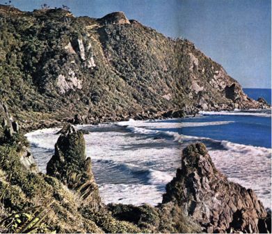 Австралия и острова Тихого океана - _185.jpg