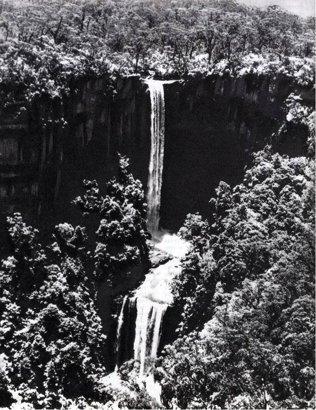 Австралия и острова Тихого океана - _10.jpg