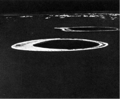 Австралия и острова Тихого океана - _145.jpg