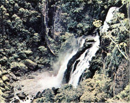 Австралия и острова Тихого океана - _161.jpg