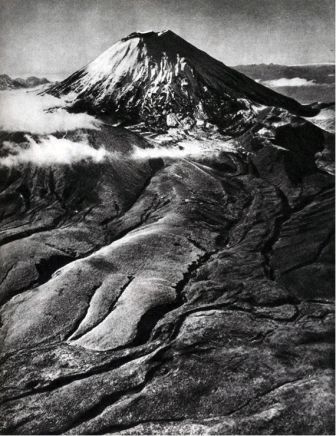 Австралия и острова Тихого океана - _182.jpg