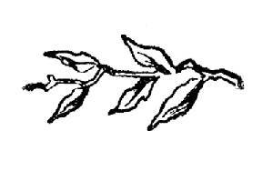 По тундрам, лесам, степям и пустыням - _3.jpg