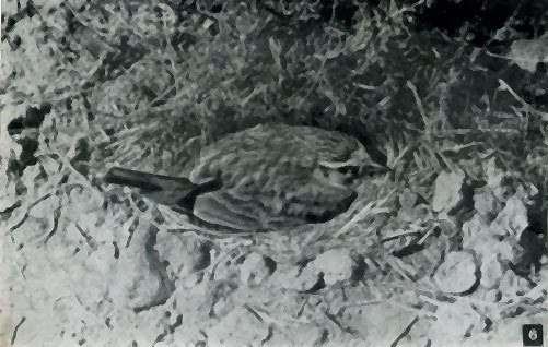 Неведомый Памир - doc2fb_image_02000009.jpg