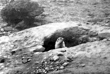 Неведомый Памир - doc2fb_image_02000010.jpg