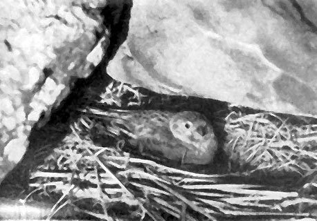 Неведомый Памир - doc2fb_image_02000026.jpg