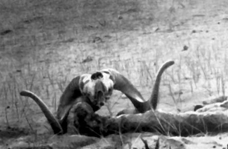 Неведомый Памир - doc2fb_image_02000028.jpg