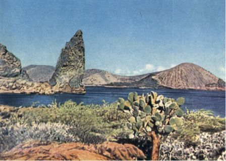 Зачарованные острова Галапагосы - doc2fb_image_0200000F.jpg