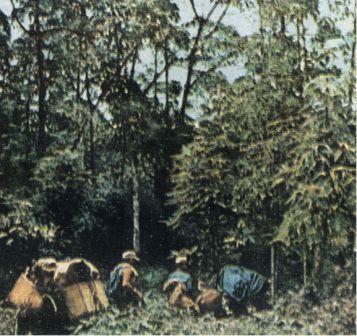 Зачарованные острова Галапагосы - doc2fb_image_02000011.jpg