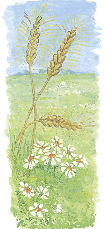 Мы все из Бюллербю (сборник) - i_022.png