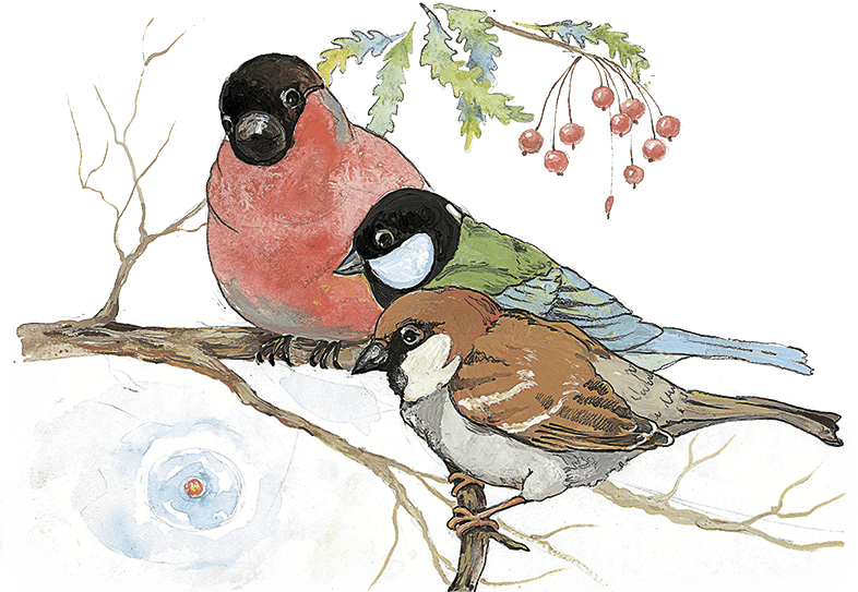 Мы все из Бюллербю (сборник) - i_035.png