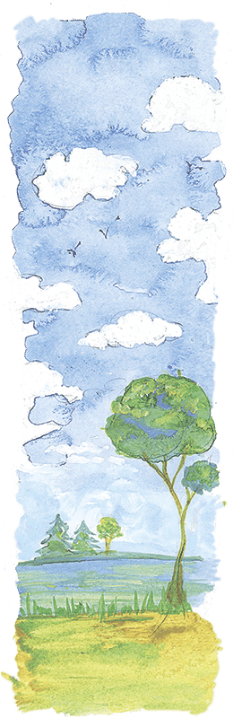 Мы все из Бюллербю (сборник) - i_073.png