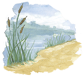 Мы все из Бюллербю (сборник) - i_084.png