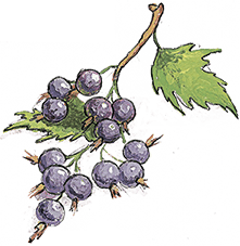 Мы все из Бюллербю (сборник) - i_088.png