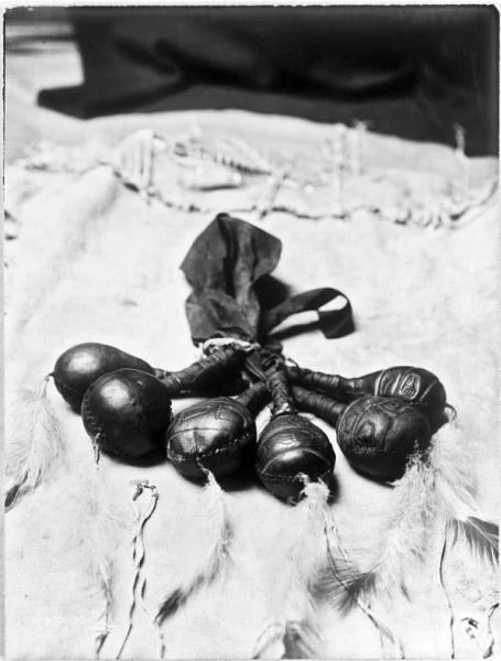 Сила шаманов. Боевая и лечебная магия индейцев Дикого Запада - i_011.jpg