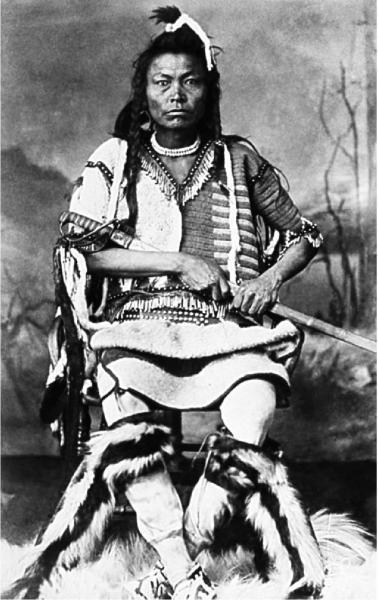 Сила шаманов. Боевая и лечебная магия индейцев Дикого Запада - i_013.jpg