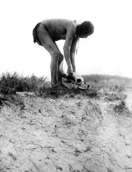 Сила шаманов. Боевая и лечебная магия индейцев Дикого Запада - i_029.jpg