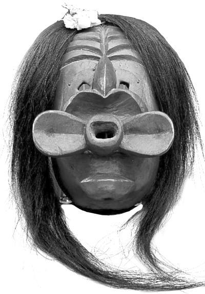 Сила шаманов. Боевая и лечебная магия индейцев Дикого Запада - i_038.jpg