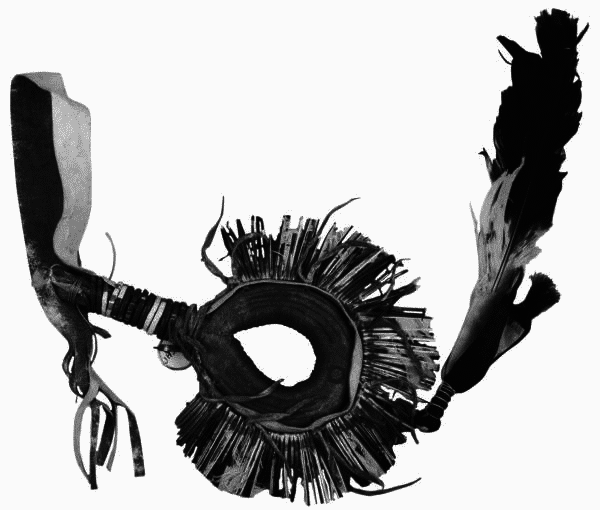 Сила шаманов. Боевая и лечебная магия индейцев Дикого Запада - i_059.png