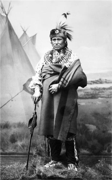 Сила шаманов. Боевая и лечебная магия индейцев Дикого Запада - i_069.jpg