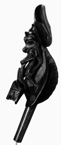 Сила шаманов. Боевая и лечебная магия индейцев Дикого Запада - i_080.png