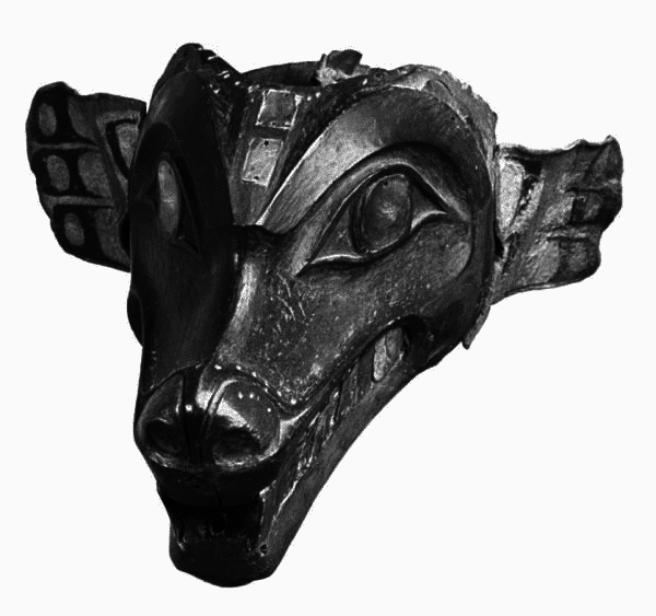 Сила шаманов. Боевая и лечебная магия индейцев Дикого Запада - i_082.png