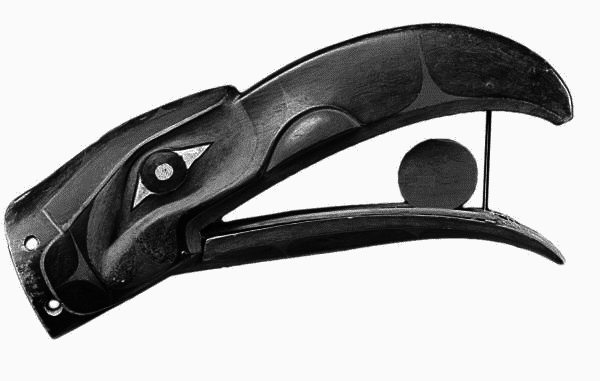 Сила шаманов. Боевая и лечебная магия индейцев Дикого Запада - i_085.png