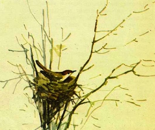 Домик на берёзе - i_005.jpg