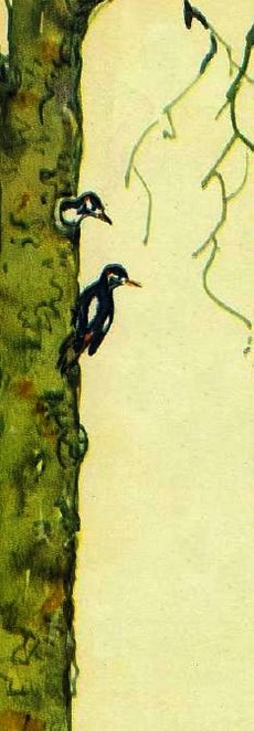 Домик на берёзе - i_006.jpg