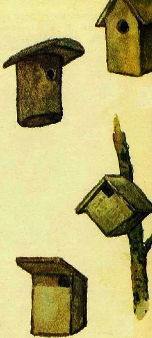 Домик на берёзе - i_007.jpg