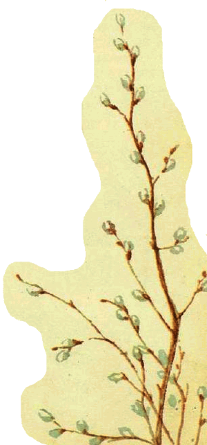 Домик на берёзе - i_010.png