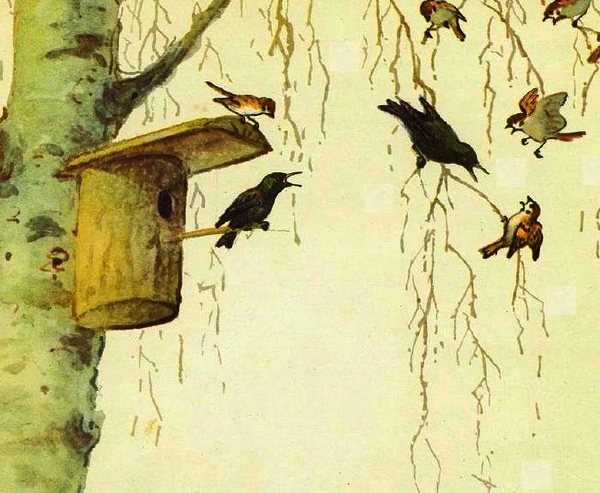 Домик на берёзе - i_013.jpg