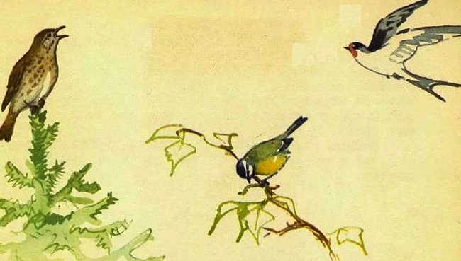 Домик на берёзе - i_024.jpg