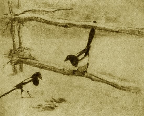 Грач. Галка. Сорока - i_007.jpg