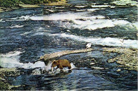 Северная Америка - doc2fb_image_02000026.jpg