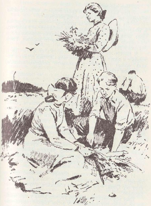 У птенцов подрастают крылья - i_007.jpg