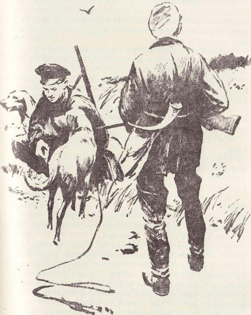 У птенцов подрастают крылья - i_008.jpg