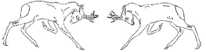 Рассказы охотника - i_001.png