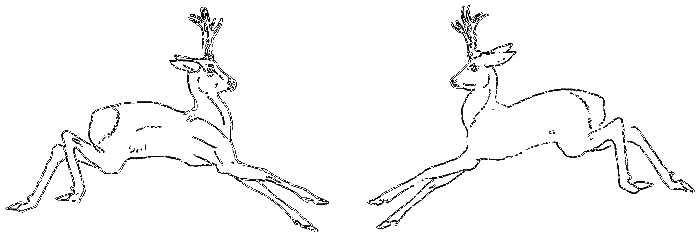 Рассказы охотника - i_003.png