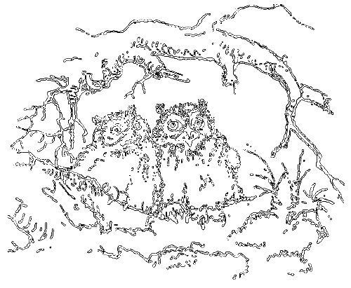 Рассказы охотника - i_004.png