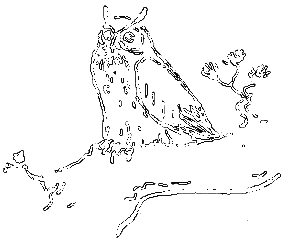 Рассказы охотника - i_007.png