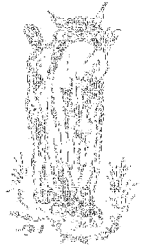 Рассказы охотника - i_010.png