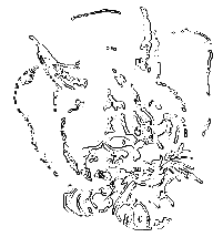 Рассказы охотника - i_011.png