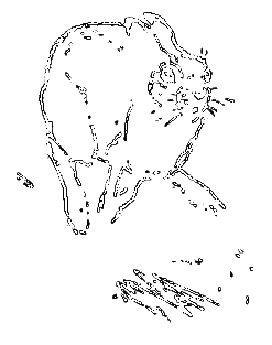 Рассказы охотника - i_013.png