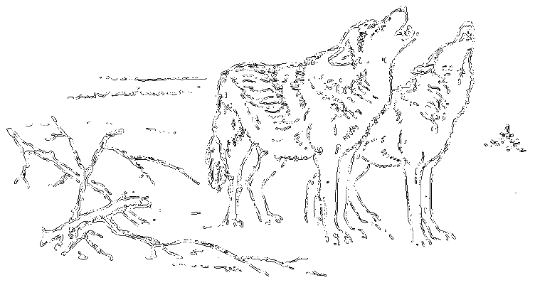 Рассказы охотника - i_014.png