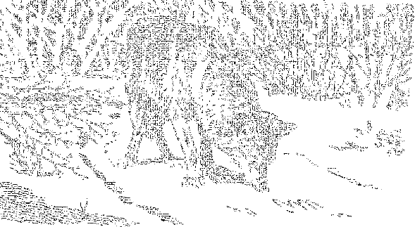 Рассказы охотника - i_015.png